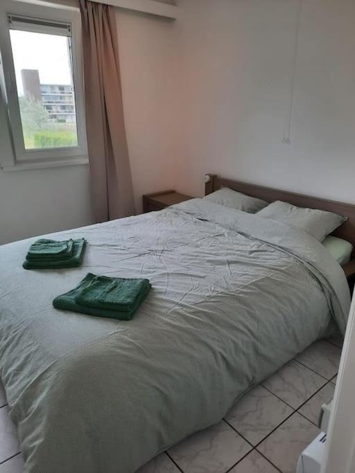 Spacieux Duplex Pres De La Mer 4 Chambres 2 Sdb De Haan Eksteriør billede